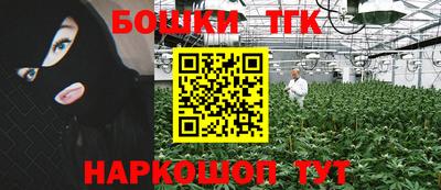 гидра Тверь