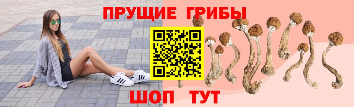 Нефтеюганск  Галлюциногенные грибы GOLDEN TEACHER  Вход с VPN 